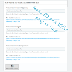 Anuncios Dinámicos: Eventos + Feed de Productos